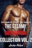 The Steamy Gay Erotica Collection Vol. 2