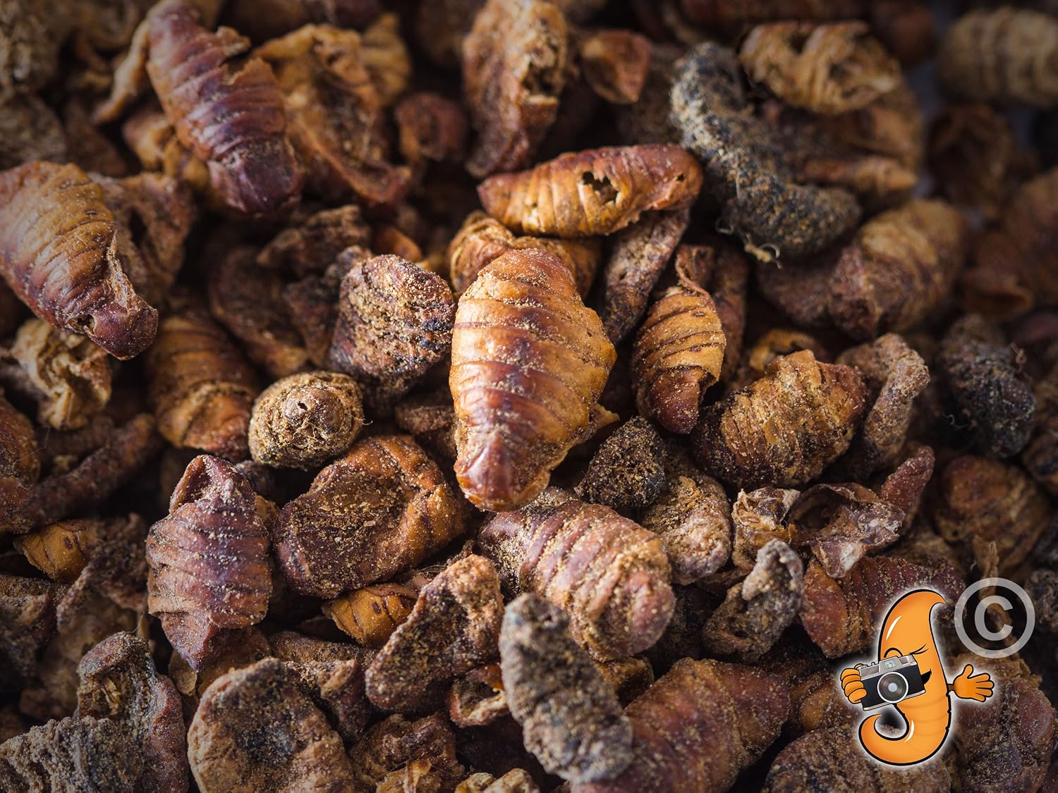 Chubby Mealworms Dried Silkworm Pupae (1Litre), Dried Silkworm for Wild Birds Koi Fish, Reptiles, Turtles & Other Animals - Image 5