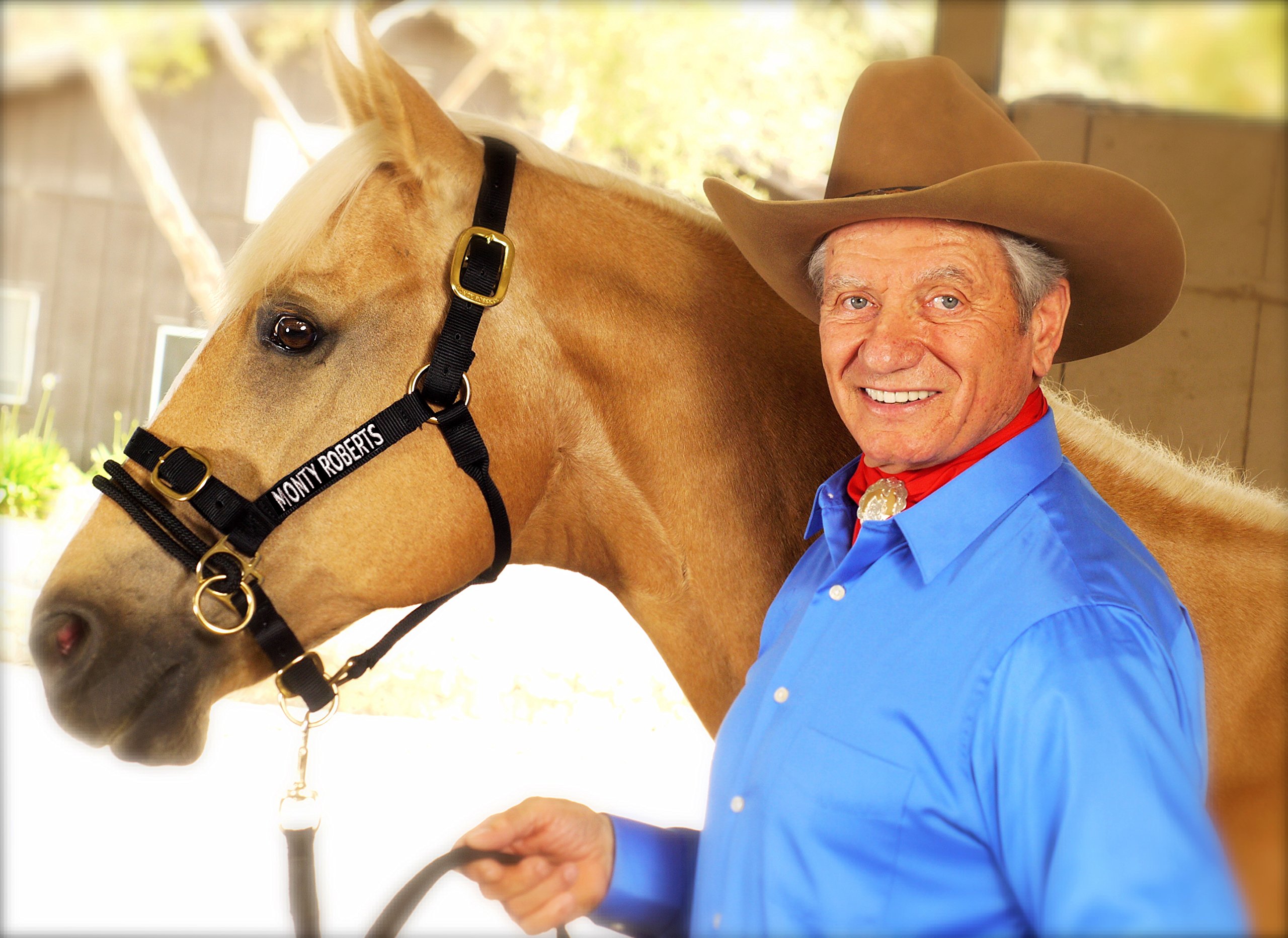 Monty Roberts Official Dually Training Halter MEDIUM/COB (with FREE DVD)