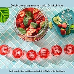 DRINKSPLINKS Silicone Ice Cube Mold Tray - Custom