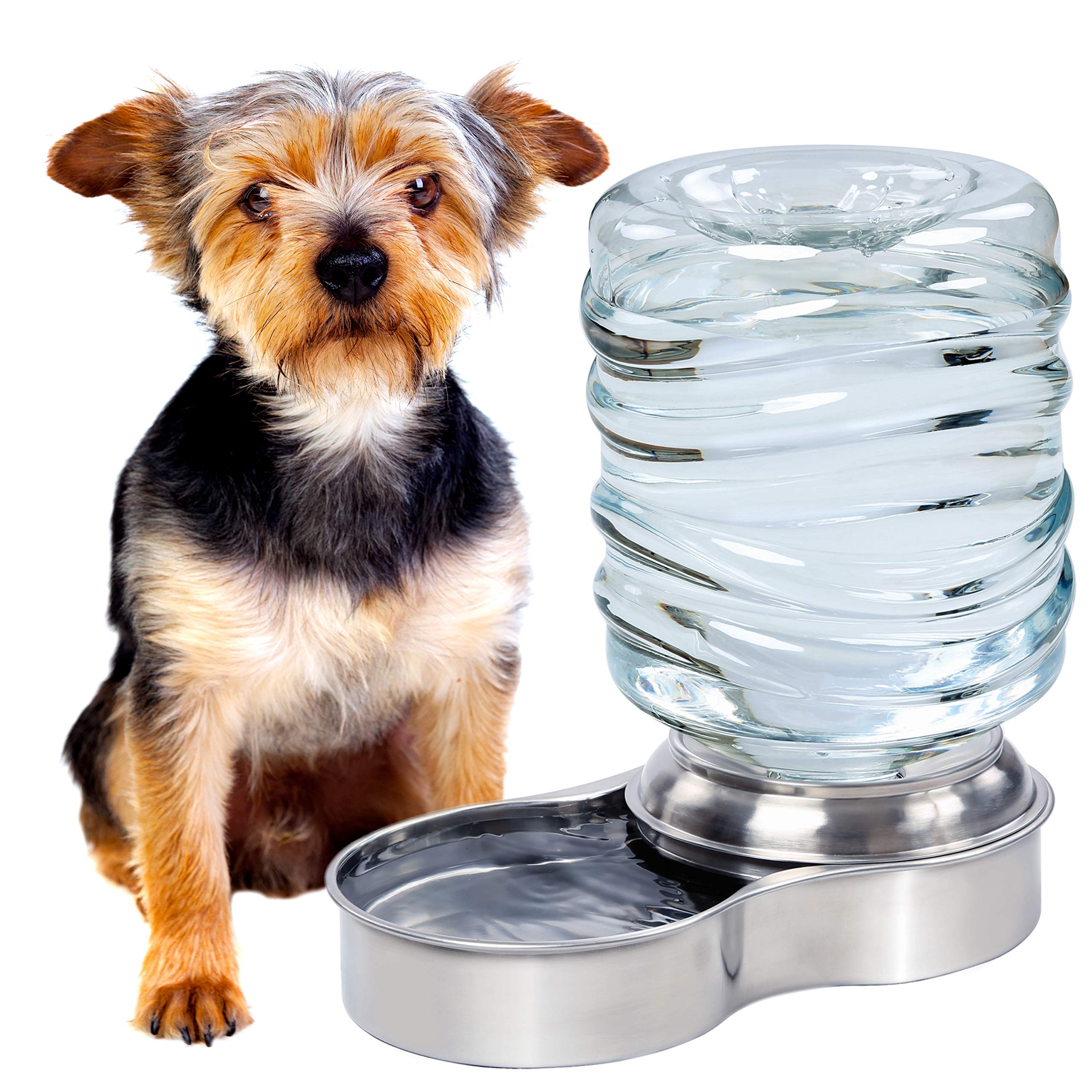 Photo 1 of Bundaloo Dog Water Bowl Dispenser - Automatic Slow Refilling System Keeps Stainless Steel Drinking Dish Filled - Refillable 3 Liter Bottle, Non-Skid Feet - Clean, Safe, & Fresh Drink for Pet Dogs