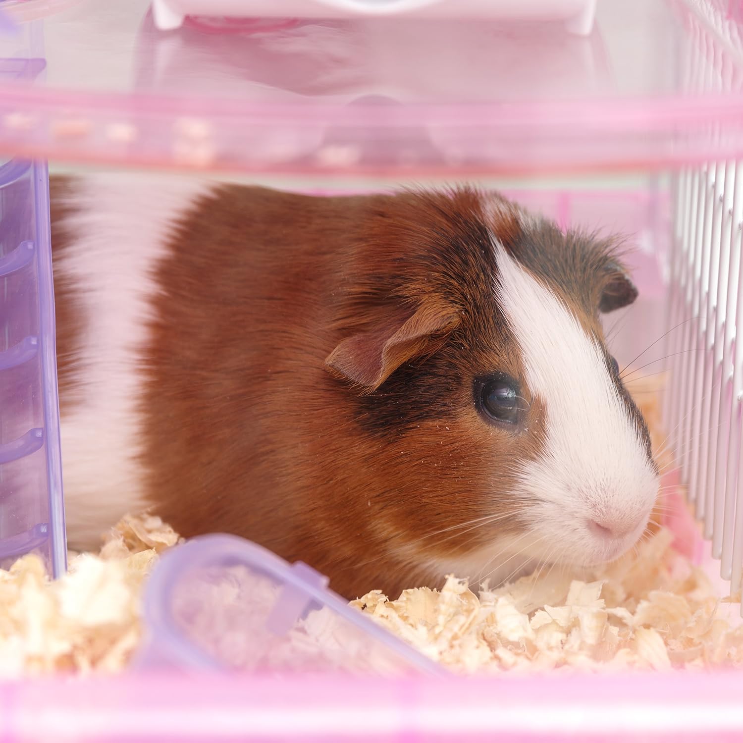 iris deluxe hamster cage