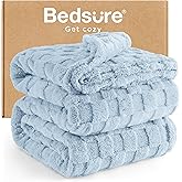 Bedsure GentleSoft Blankets Queen Size for Bed - Super Soft Cozy Blanket for Women Men Girls, Large Fuzzy Fleece Throw for Bedroom Decor, Light Blue, 90x90 Inches