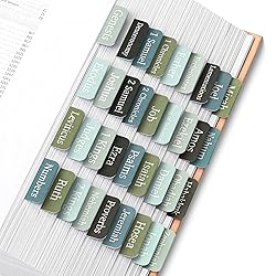 Mr. Pen- Bible Tabs, 75 Tabs, Frozen Lake