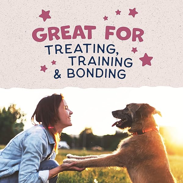 NATURAL BALANCE LIMITED INGREDIENT REWARDS JUMPIN’ STIX, GRAIN-FREE DOG TREATS FOR ADULT DOGS OF ALL BREEDS, VENISON RECIPE, 10 OUNCE (PACK OF 1)