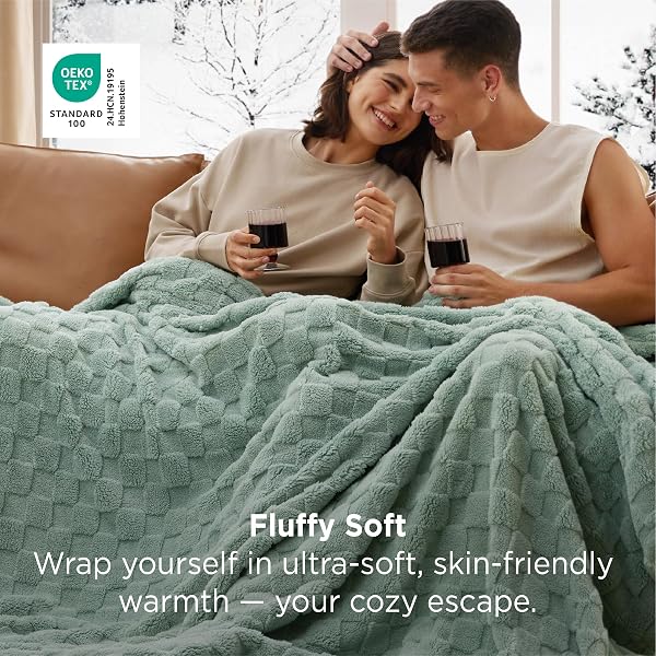 BEDSURE GENTLESOFT BLANKETS QUEEN SIZE FOR BED – SUPER SOFT COZY BLANKET, LARGE FUZZY FLEECE SPRING SUMMER THROW FOR BEDROOM DECOR FOR GIRLS, SAGE GREEN, 90X90 INCHES