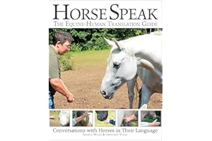 Horse Speak: The Equine-Human Translation Guide