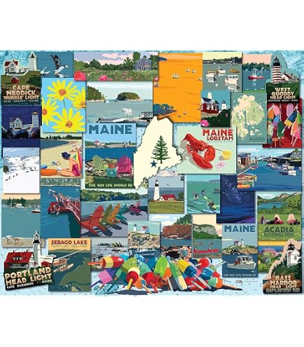 Amazon.com: White Mountain 1000 Piece Jigsaw Puzzle State