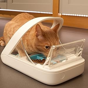 SureFeed Microchip Feeder