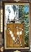 Azada: Ancient Magic Collector's Edition