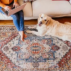 YJ.GWL Area Rug 3x5, Washable Entryway Rug, Soft