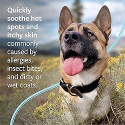 Veterinary Formula Clinical Care Hot Spot & Itch