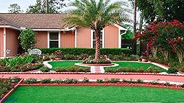 Review Image by Herminio C. Miguel Herminio C. Miguel