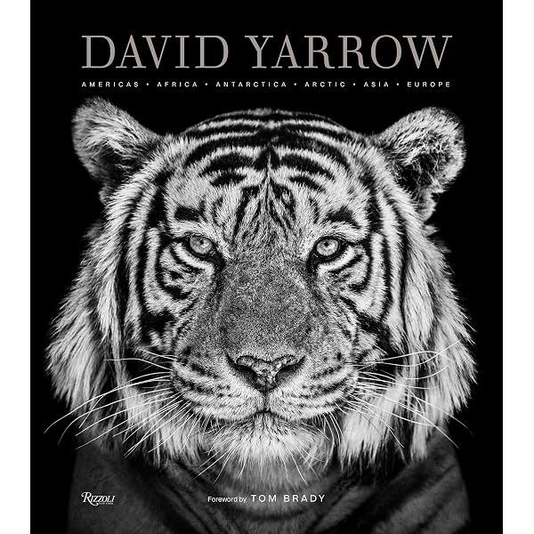 Amazon.com: Wild Encounters: Iconic Photographs of the World's