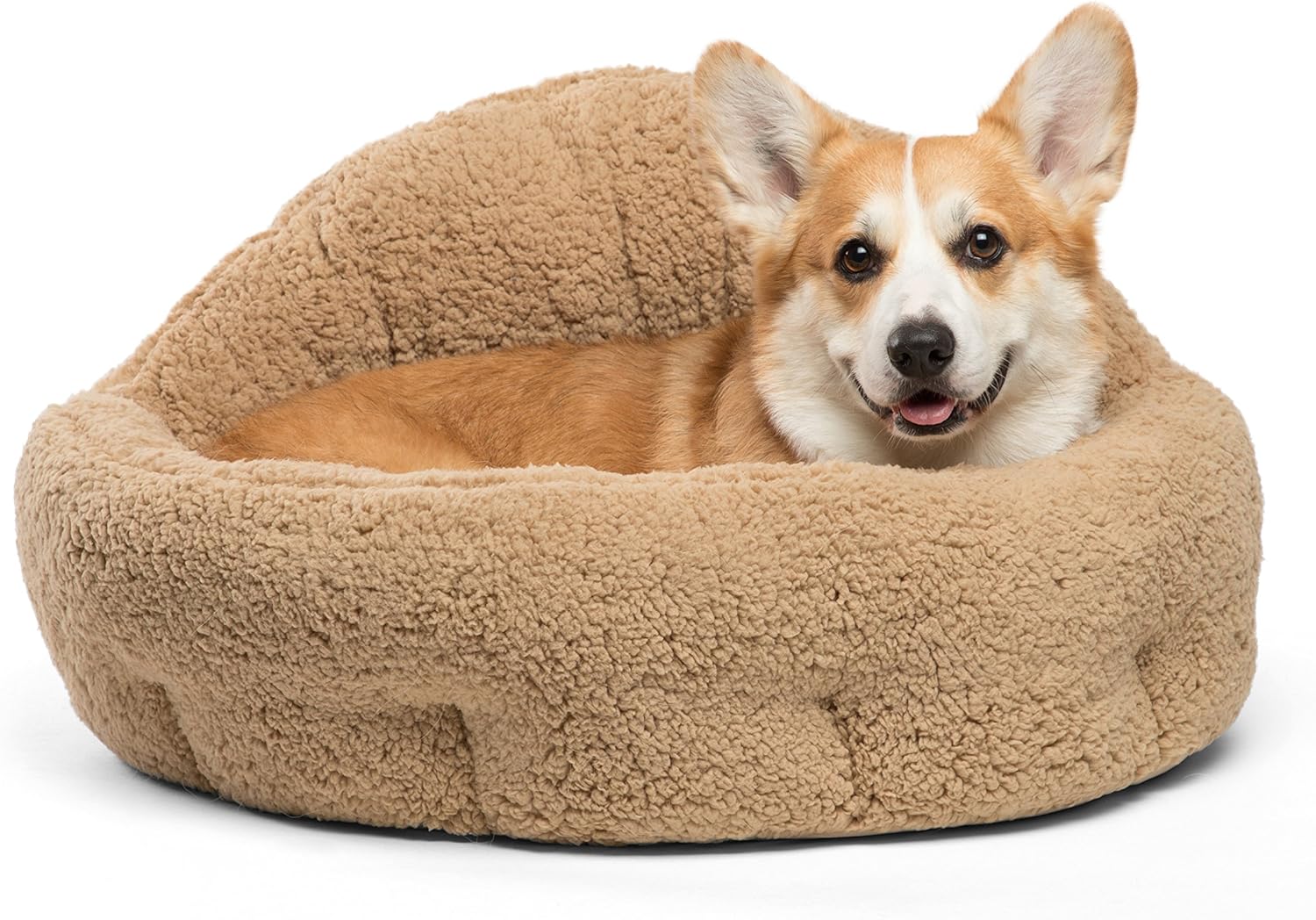 Best aspen pet sofa bed