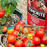 Levington Tomorite Liquid Tomato Food Concentrate 1L Red view 3