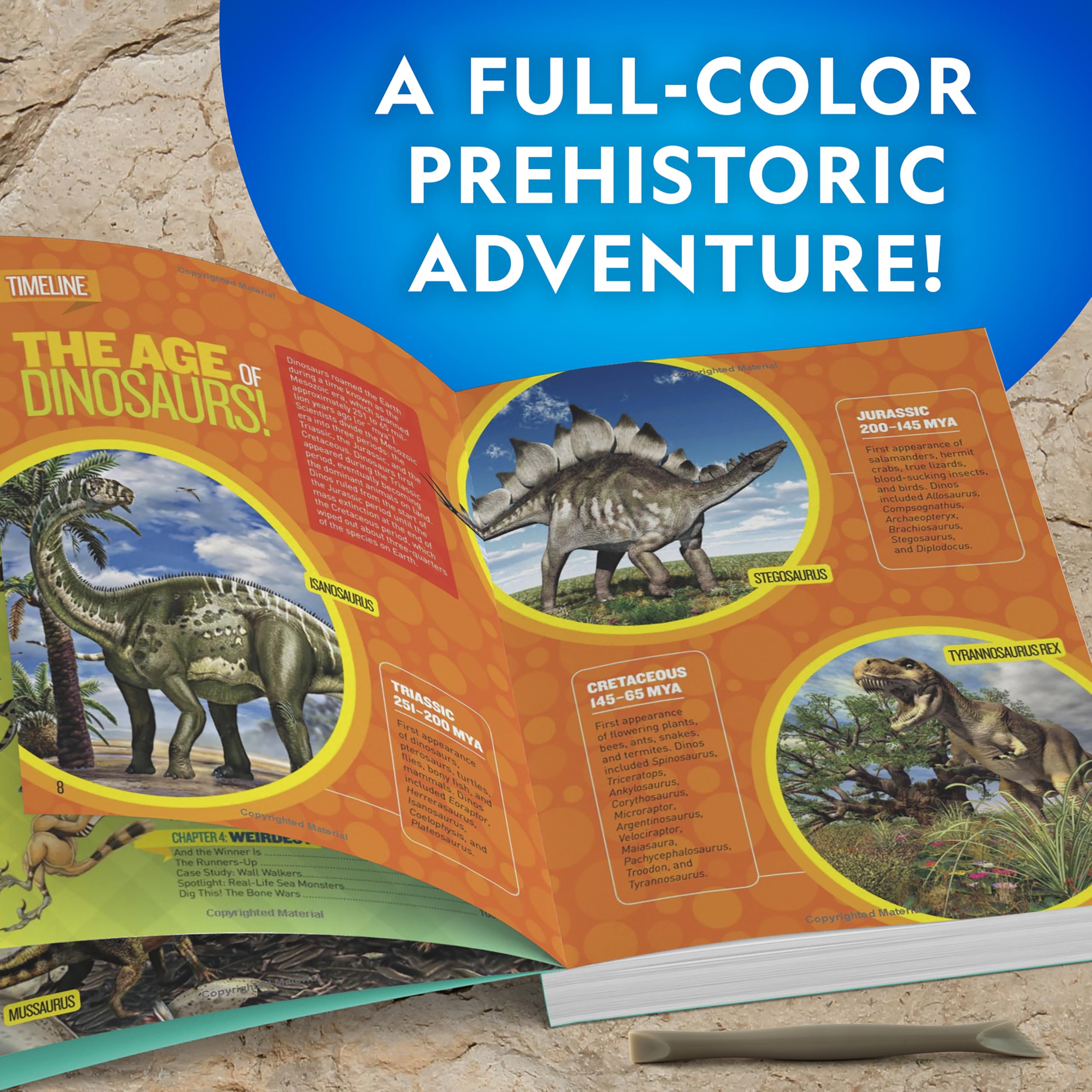 NATIONAL GEOGRAPHIC Dino Fossil Dig Kit & Dinosaur Book for Kids- Excavate a Replica Dinosaur Tooth Fossil and Study Paleontology with a Full-Color Dinosaur Activity Book for Kids (Amazon Exclusive)