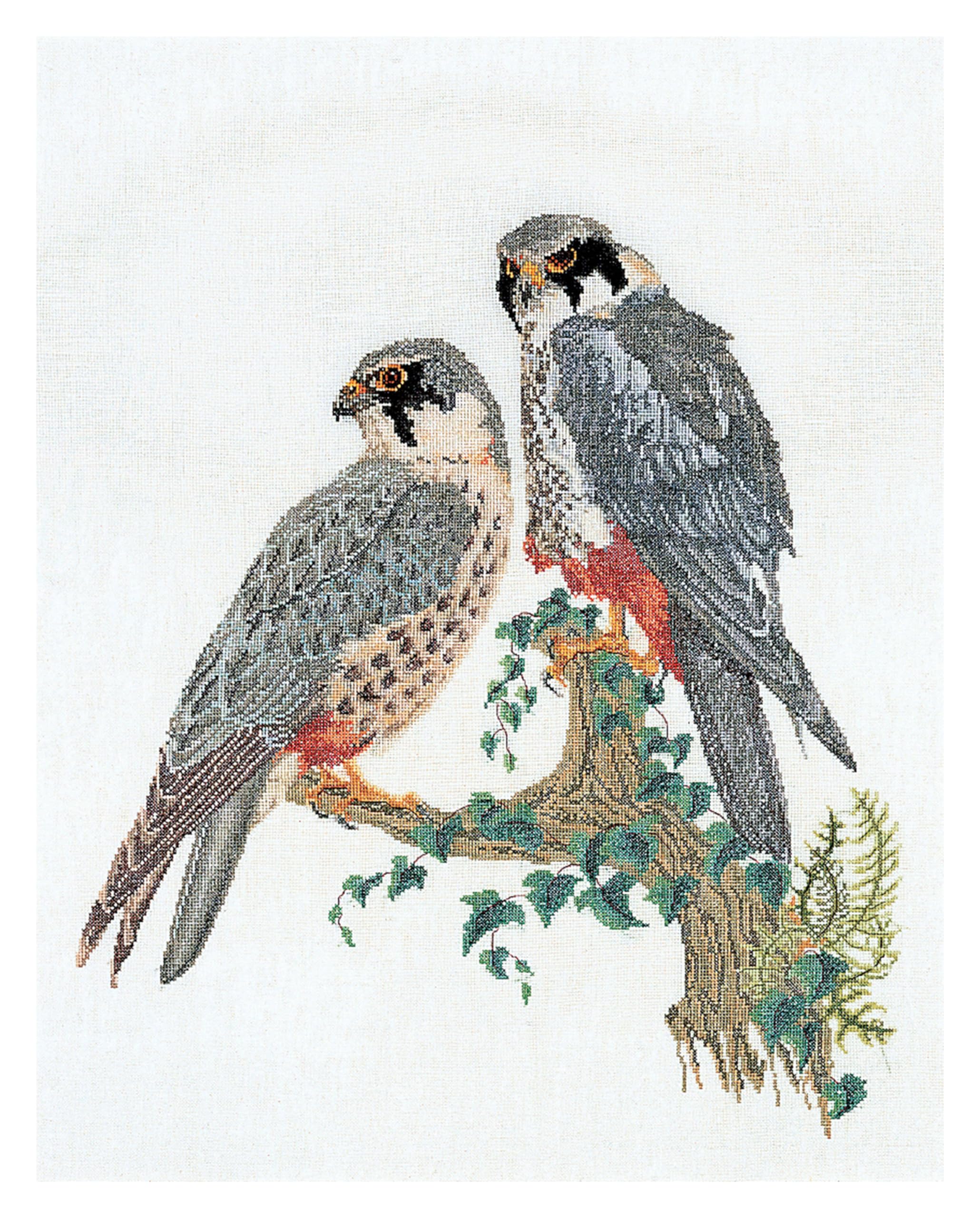Thea Gouverneur - Counted Cross Stitch Kit - Falcons - Aida - 16 Count - Embroidery Kit for Adults - DMC Embroidery Threads and Other Cross Stitch Supplies Included - 2024A