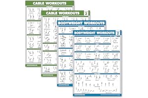 Palace Learning 17 Pack - Exercise Workout Poster Set: Dumbbell, Suspension, Kettlebell, Medicine Ball, Battle Rope, Resistan