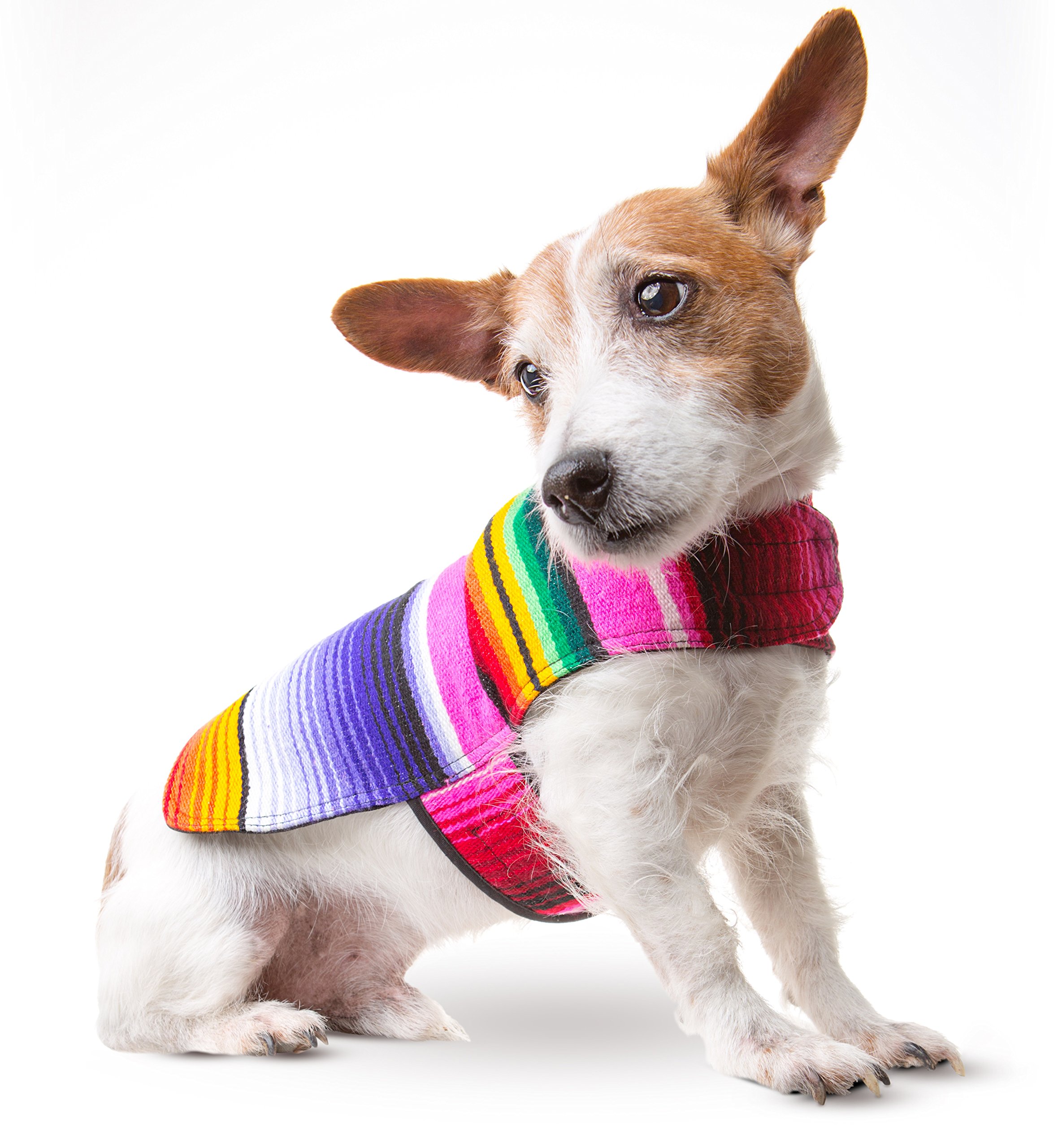Baja Ponchos Dog Clothes - Handmade Dog Poncho from Authentic Mexican Blanket (Pink No Fringe, Small)