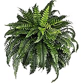 NeosCA Giant Artificial Boston Ferns for Outdoors Large UV Resistant Lifelike Faux Fern, Realistic Silk Greenery Plants Large for Patio, Office, Home Decor, 88 Branches, 48 in Fake Fern Natural Green