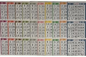The Ticket Gurus Bingo Paper Game Cards - 3 Cards - 10 Sheets - 100 Books
