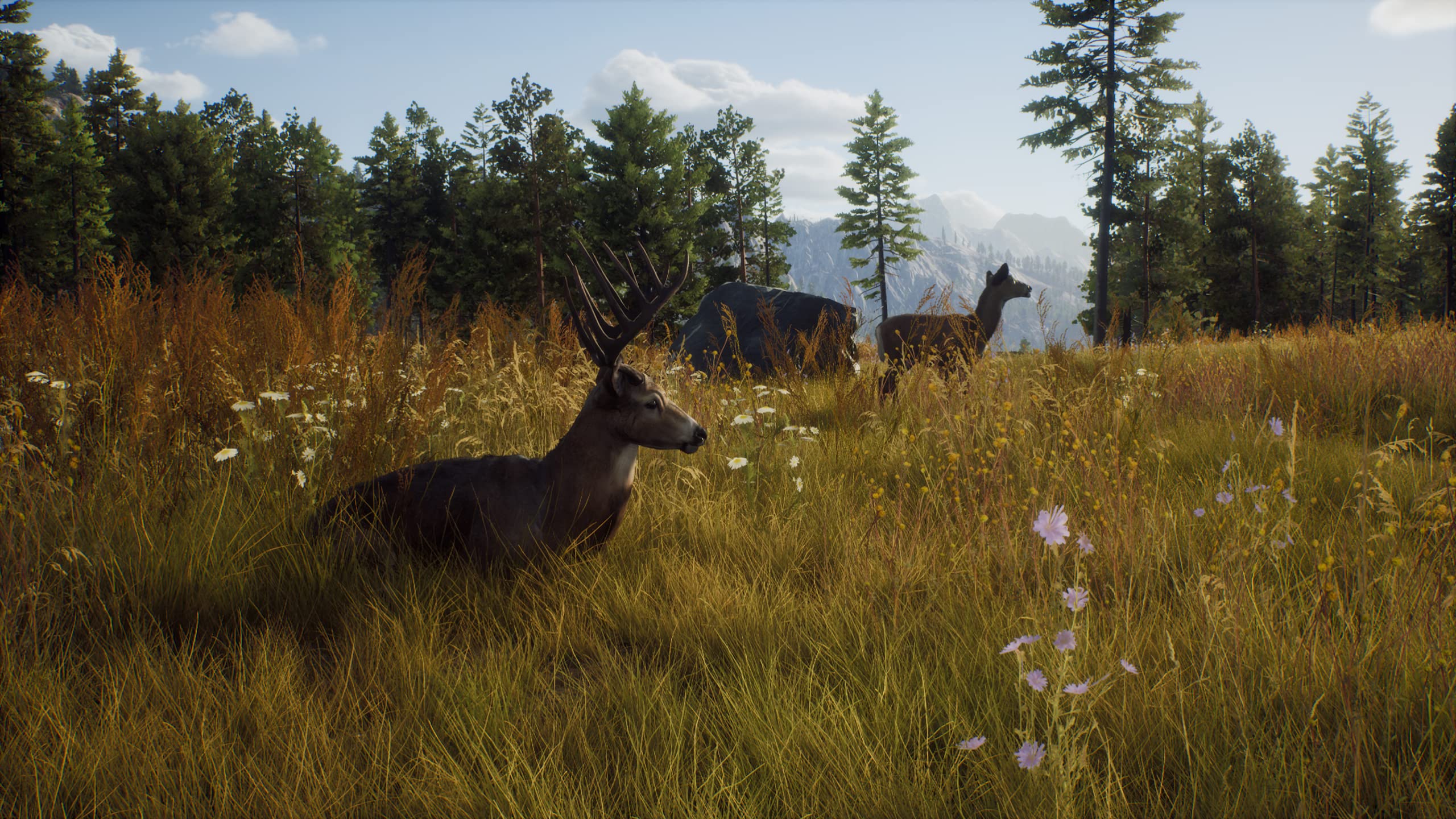 Way of The Hunter for Xbox Series X Way of The Hunter for Xbox Series X Xbox Series X PlayStation 5 PC