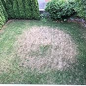 Gartensprenger Gartensprenger