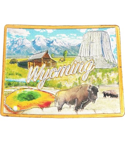 Wyoming Jumbo State Souvenir Magnet - 3.6 X 3.2 Inches, Made In USA - View #5