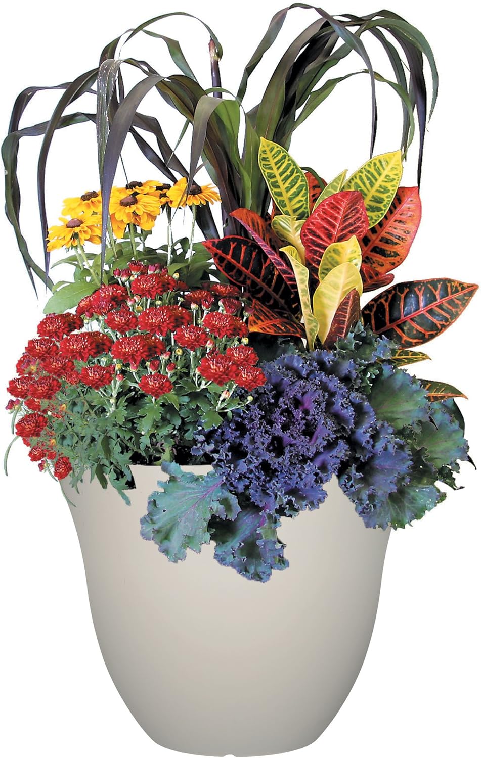 Honeysuckle Planter, Patio Pot, 15" Vanilla : Garden & Outdoor