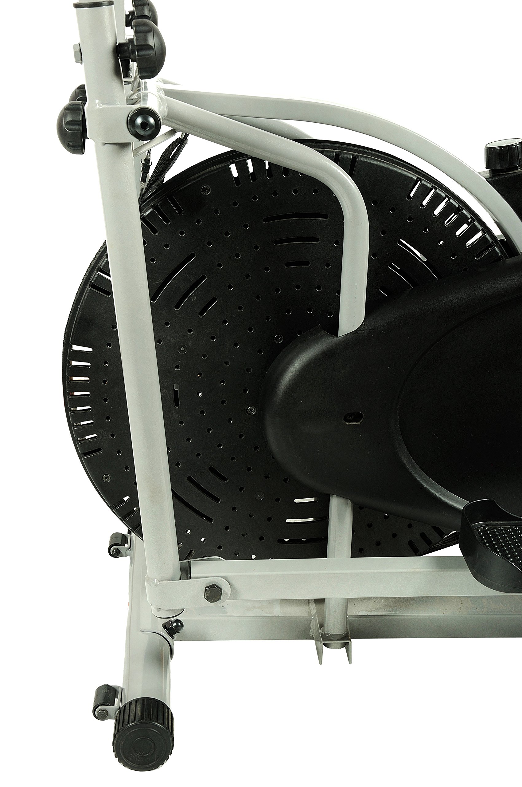 cockatoo exercise bike