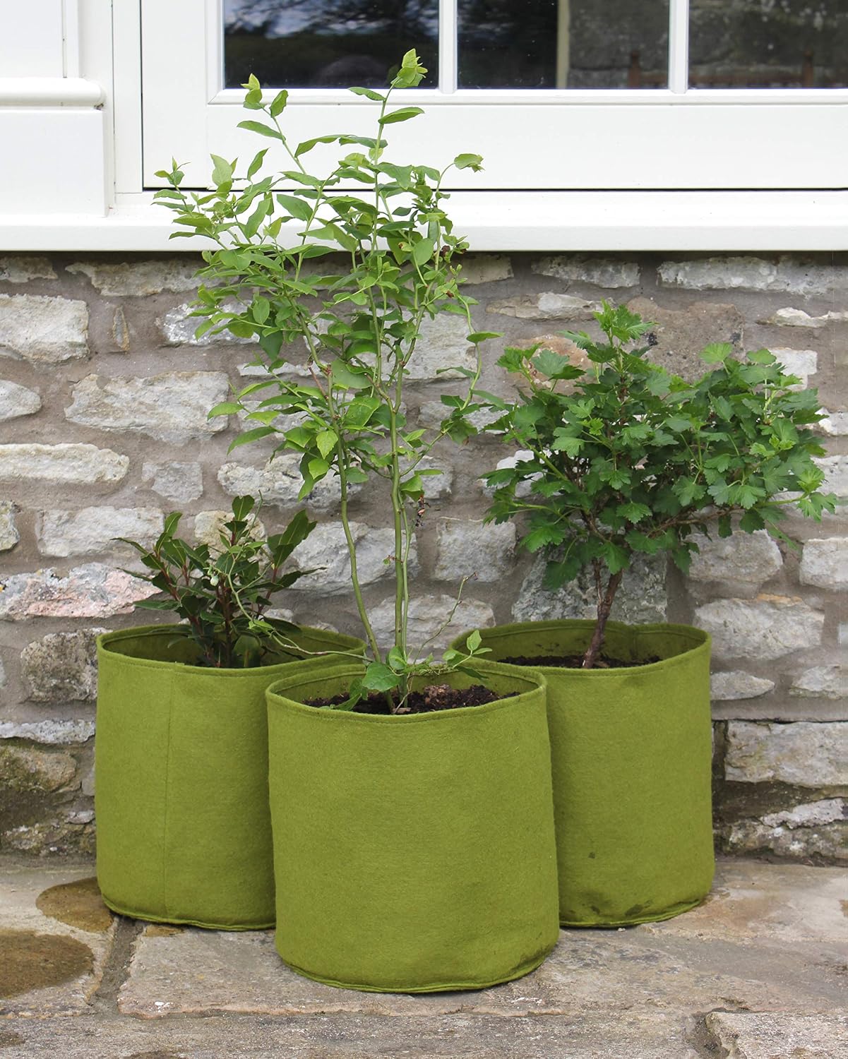 Haxnicks Large Vigoroot Plant Pots, Green, 20 L - Image 4