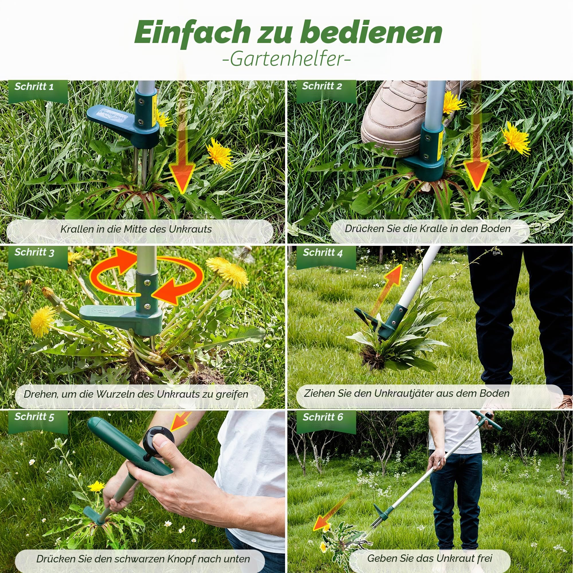 Walensee Unkrautstecher, Unkrautentferner Länge 100cm, mit DREI-Kiefer für effizientes Entfernen von Unkraut, Krallen und Pedale aus verdickter und gehärteter Edelstahl, Gartenwerkzeug 6