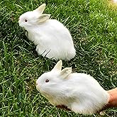 Basuo-9Q 2 Realistic Rabbit Figurines -Stuffed Farm Animal Home Decoration Lifelike Easter Bunnies Statue White Plush Rabbits Photo Props Collectible Gift (White+White)