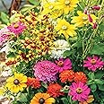 Collections Etc Roll Out Flower Seeded Mats That Attract Butterflies - Set of 2, Butterfly