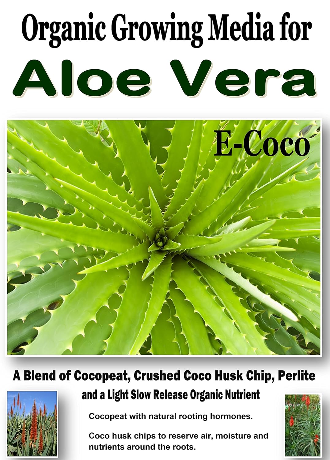 Aloe Vera Plant Compost Aloe Vera Plant Soil With Perlite