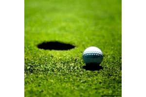 Golf Pro 3D HD