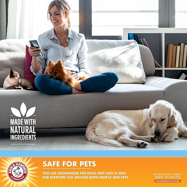 ARM & HAMMER PET SCENTS GEL ODOR ELIMINATOR, SOLID BAKING SODA DEODORIZER FOR PET AREAS, HOMES, LITTER BOXES, AND ROOMS, LONG-LASTING ODOR CONTROL, FRESH BREEZE SCENT, 15 OZ