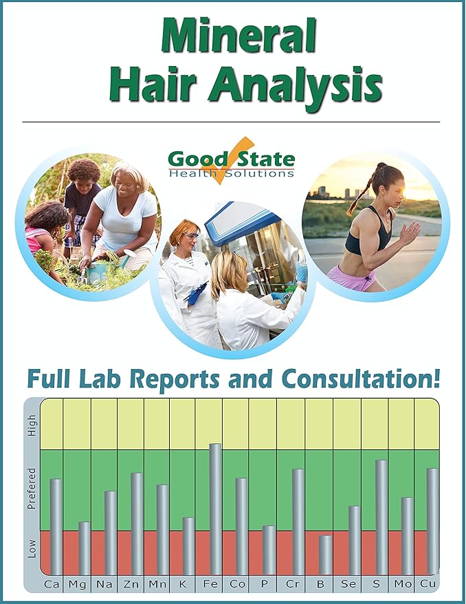 Mineral Hair Analysis Reports & Personalized Consultation Includes Test Sample