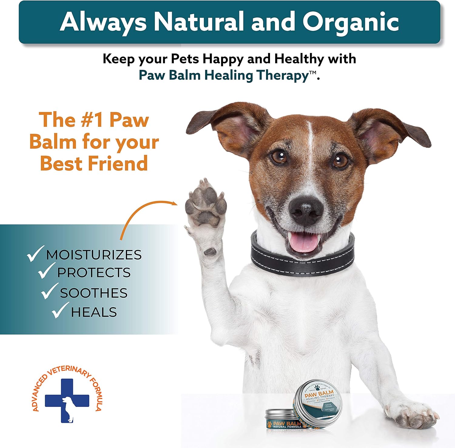 soothing paws pet therapy