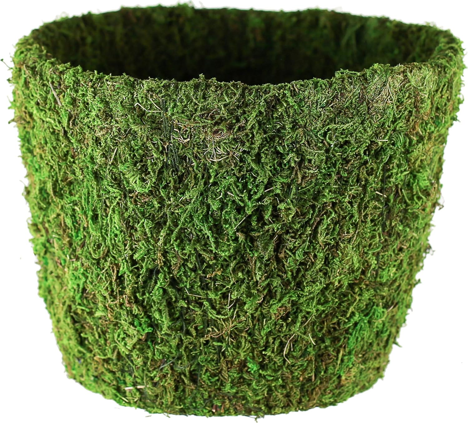 Bella Moss 122712070 Agatha Moss Planter, Green Garden