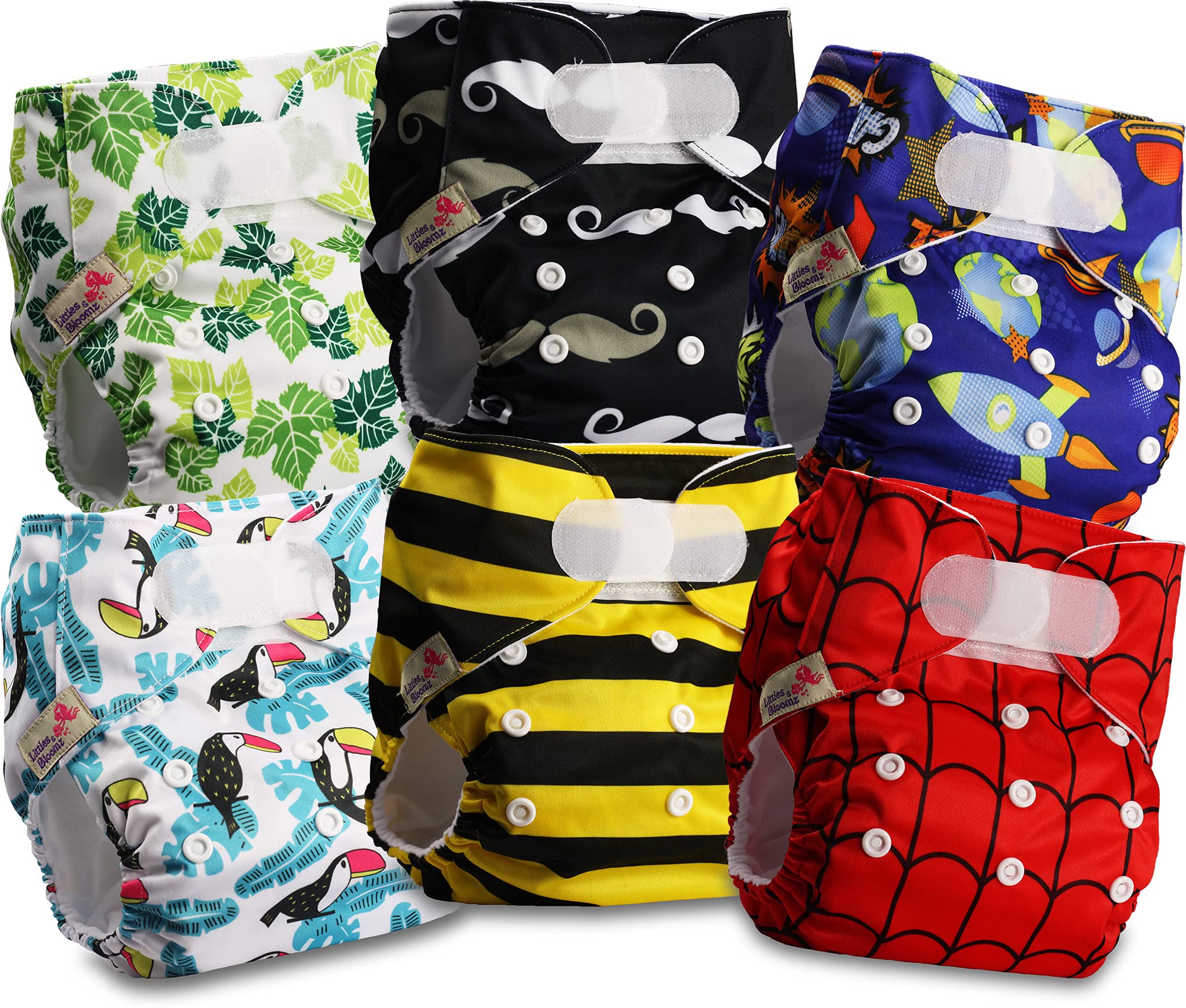 Littles and Bloomz Baby Reusable Pocket Nappy Cloth Diaper, Standard Hook-Loop, 6 Nappies, FLV2-0609