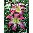 The Open Form Daylily