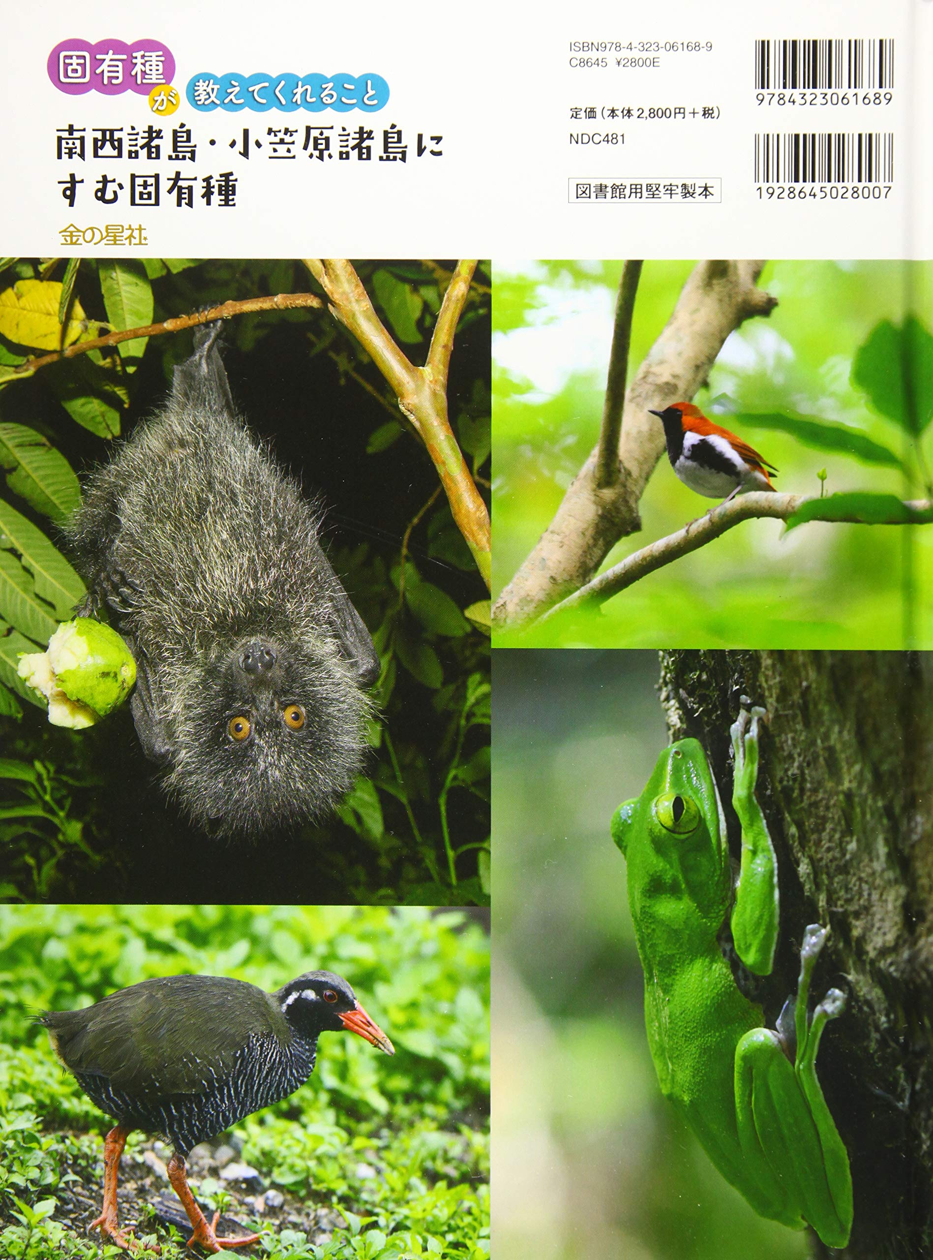 南西諸島 小笠原諸島にすむ固有種 固有種が教えてくれること Amazon Com Books