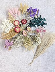 DIY Dried Flower Set, Bulk Dried Flowers,Handmade