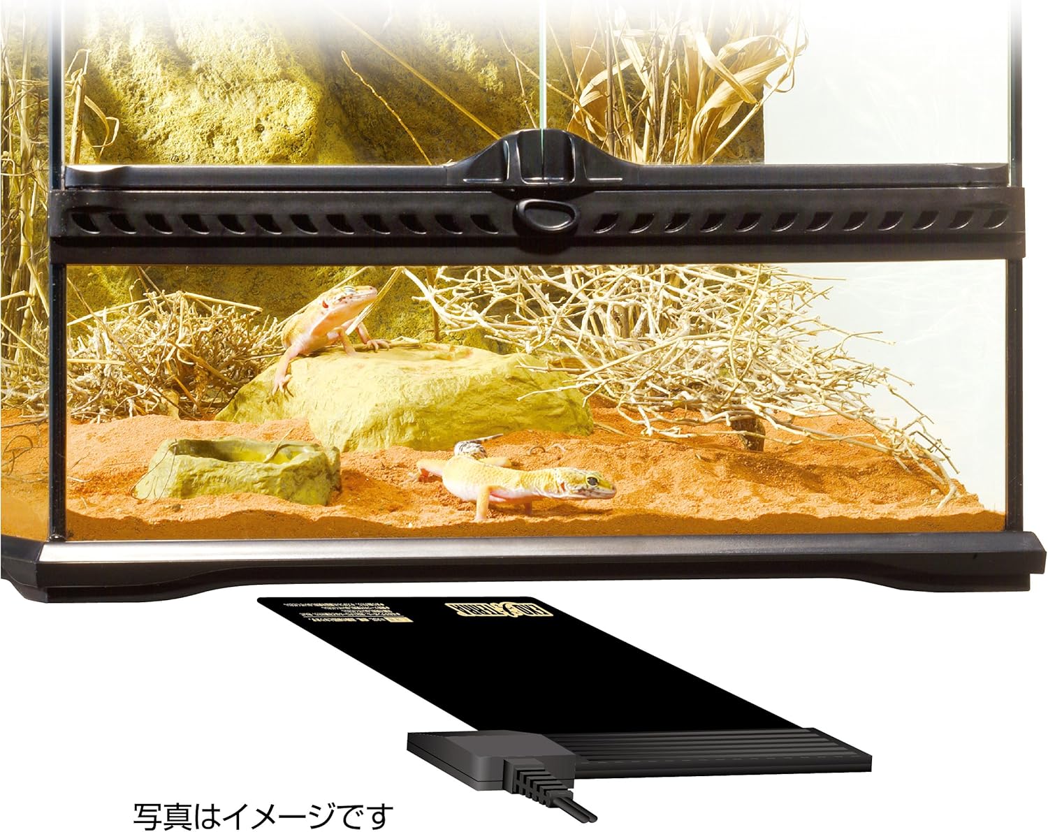 ジェックス レプタイルヒート S ジェックス 保温球 ヒーターマット 通販 Amazon