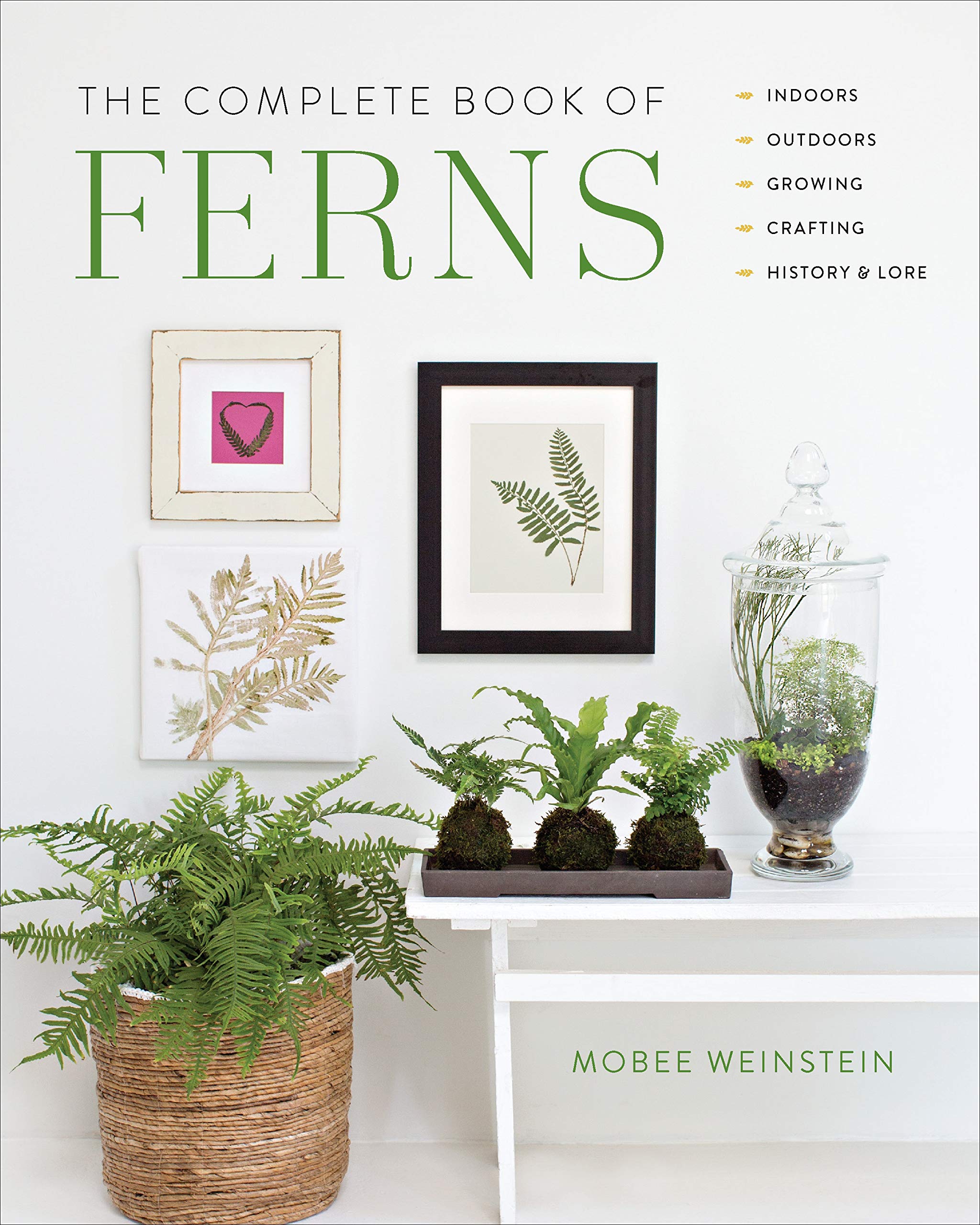 best amazon outdoor living books on The Complete Book Of Ferns Indoors Outdoors Growing Crafting History Lore Weinstein Mobee 9780760363942 Amazon Com Books