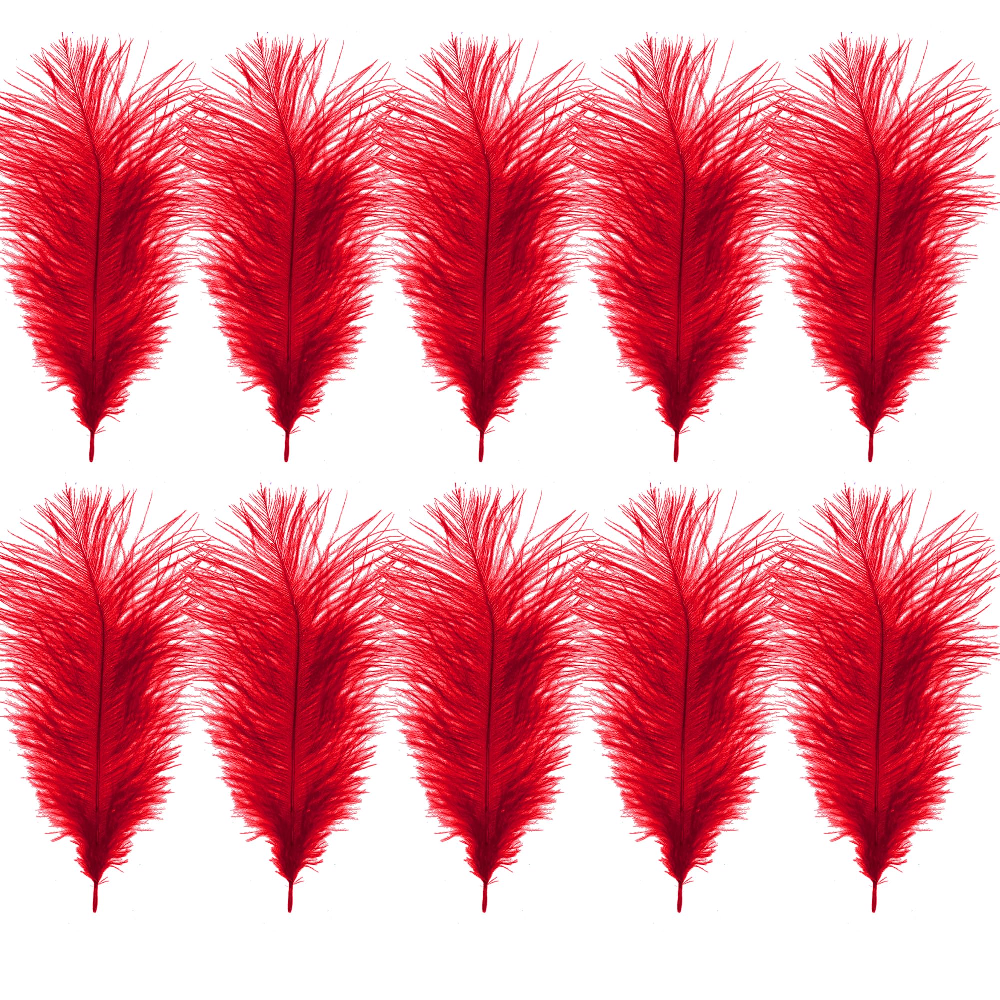 WedDecor Red Natural Ostrich Feathers 14-16" (35-40cm) Long for Wedding Centerpieces, Home, Decorating Costumes, Embellishment, Art & Craft, Parties (Pack of 10)