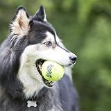 KONG Squeakair Balls Dog Toy Premium Squeak Tennis Balls XS 3 Pack view 2