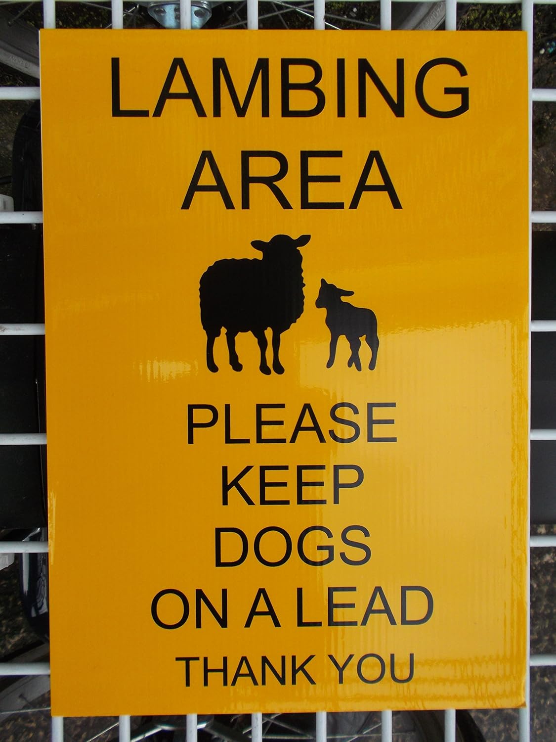 Lambing Area Please Keep Dogs On A Lead Vinyl On 4mm Correx Sign